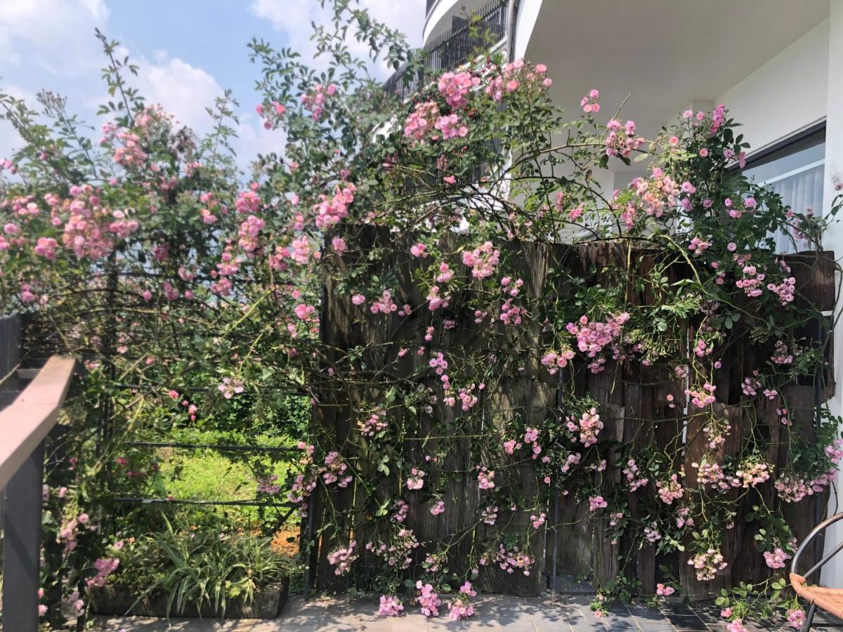 Pao'S Sapa Leisure Hotel Экстерьер фото Rosa 'Pinky'