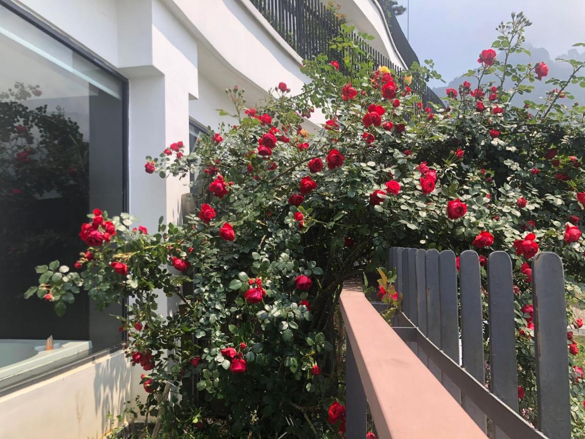 Pao'S Sapa Leisure Hotel Экстерьер фото Rosa kordesii